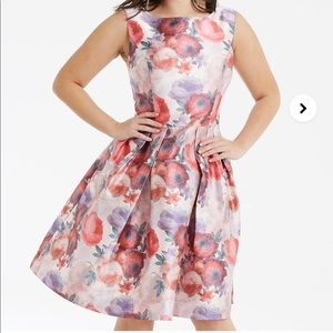 Chi chi London dress